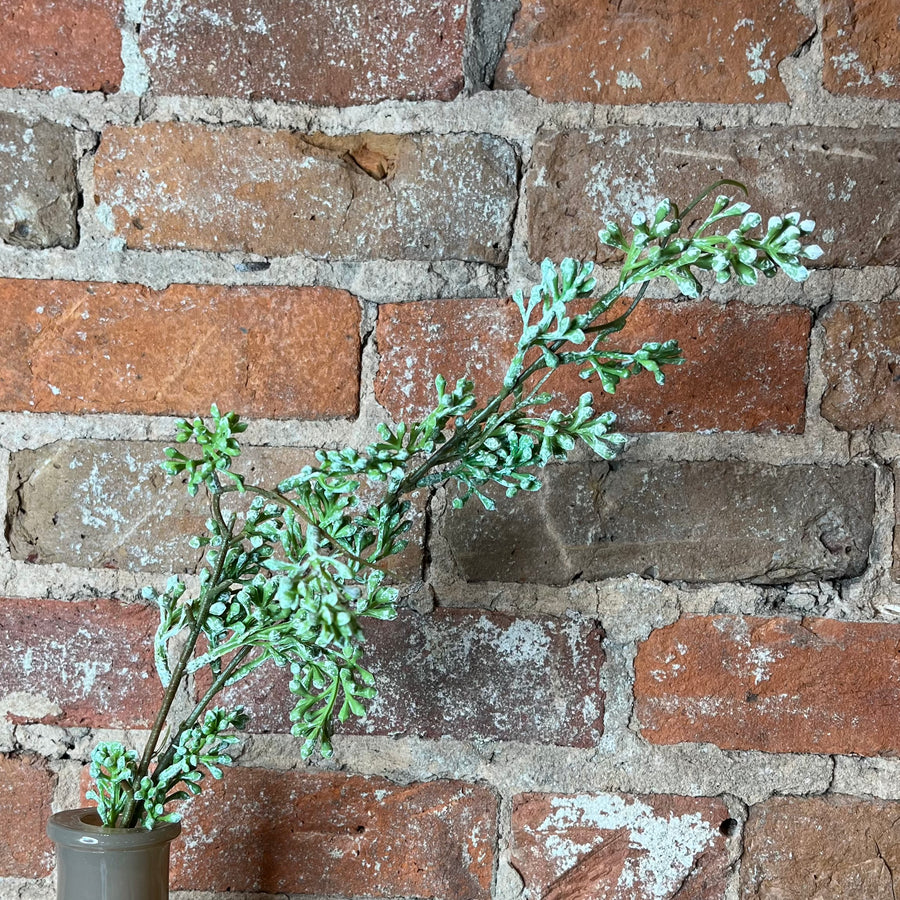 Powdered Eucalyptus Berry Bud Stem 31"