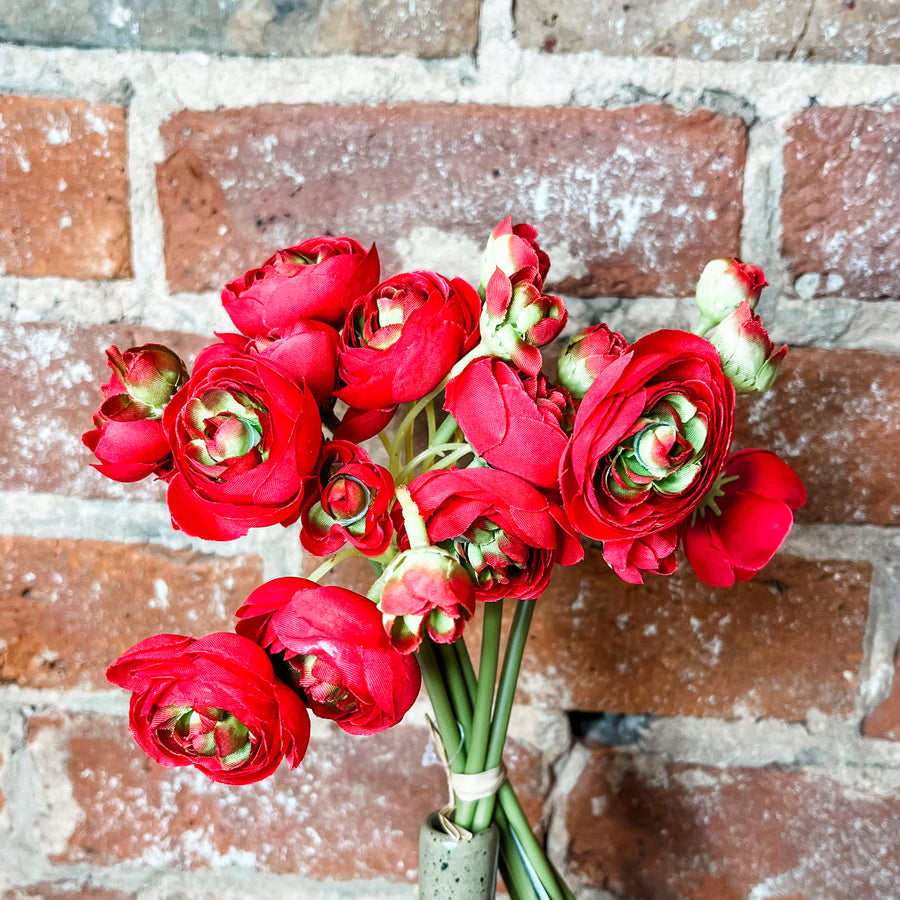 Mini Ranunculus Bundle 11"