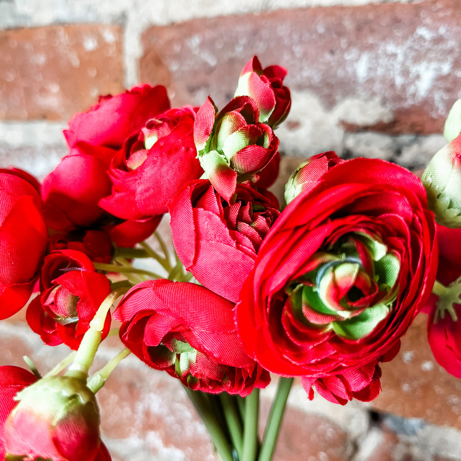 Mini Ranunculus Bundle 11"