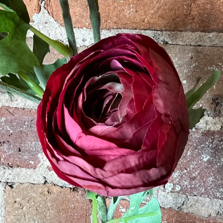 Real Touch Ranunculus Stem 24.5"