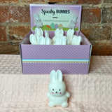 Squishy Bunnies
