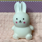 Squishy Bunnies