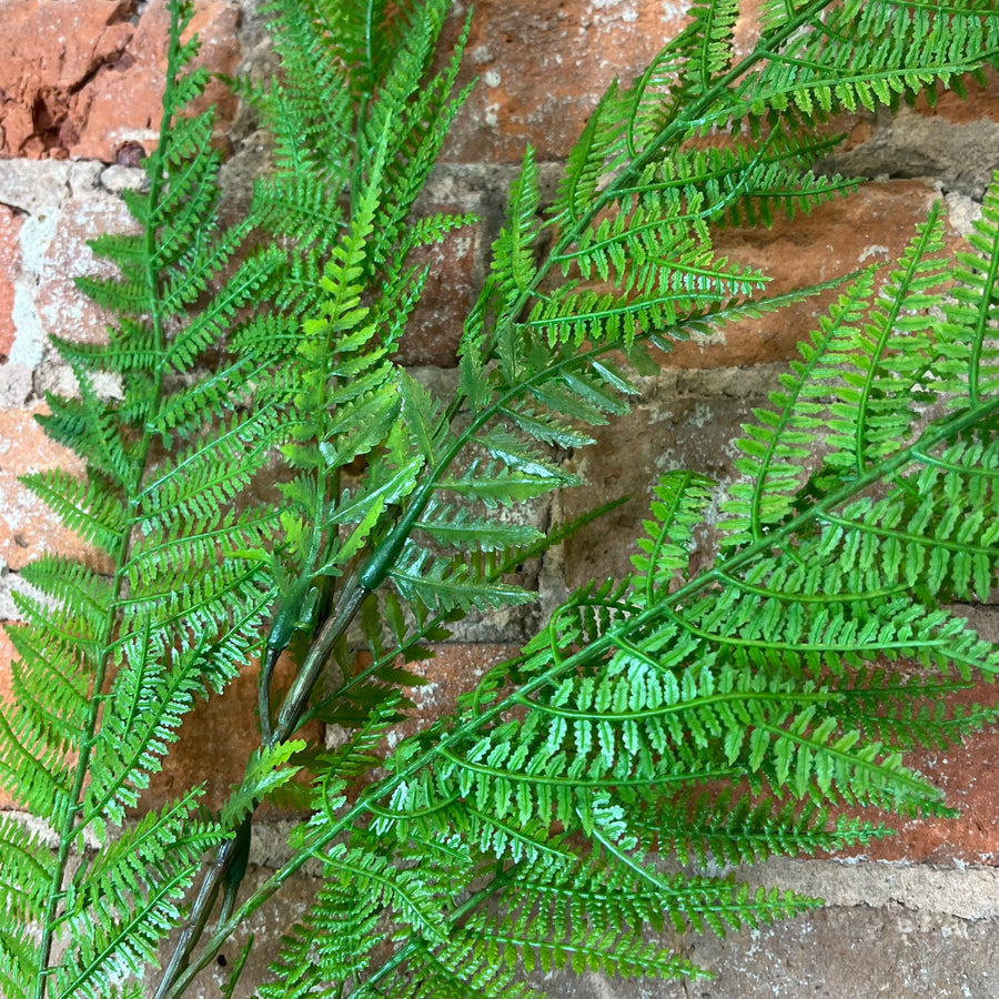 Lace Fern Spray 39