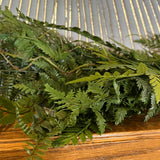 Mixed Fern Garland 6'