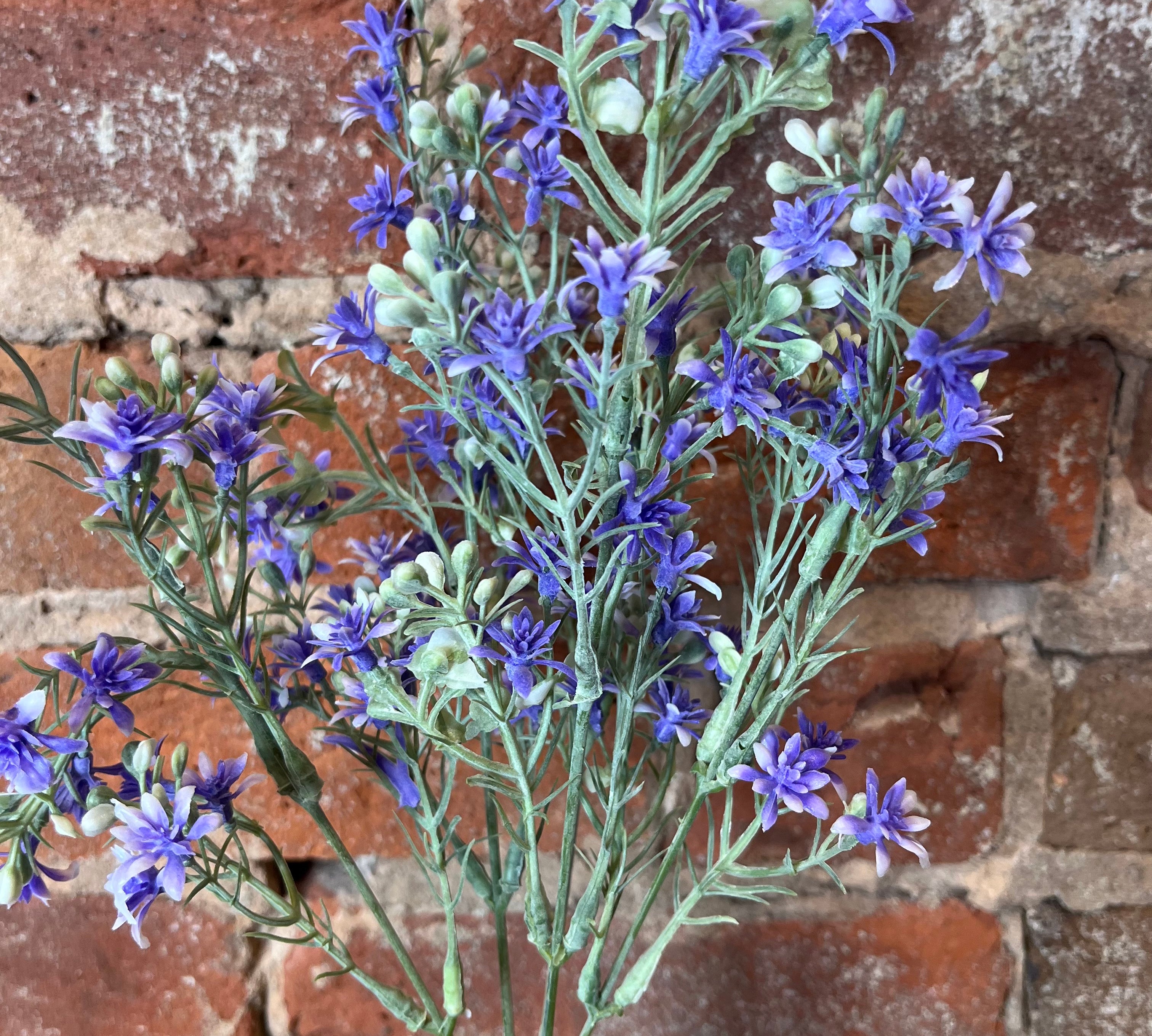 Star Aster Bush 14”