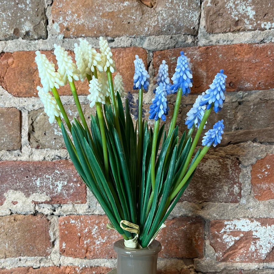 Hyacinth 11"