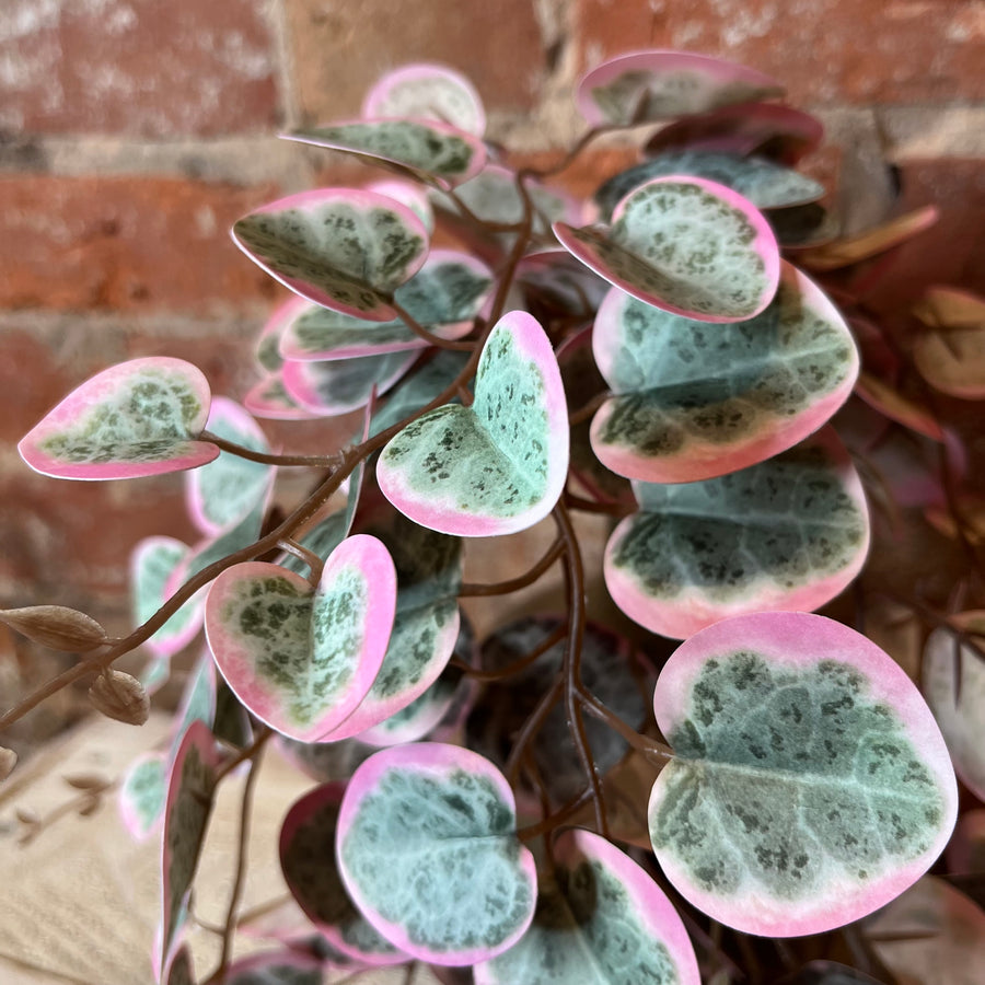 String of Hearts Hanging Bush 18"