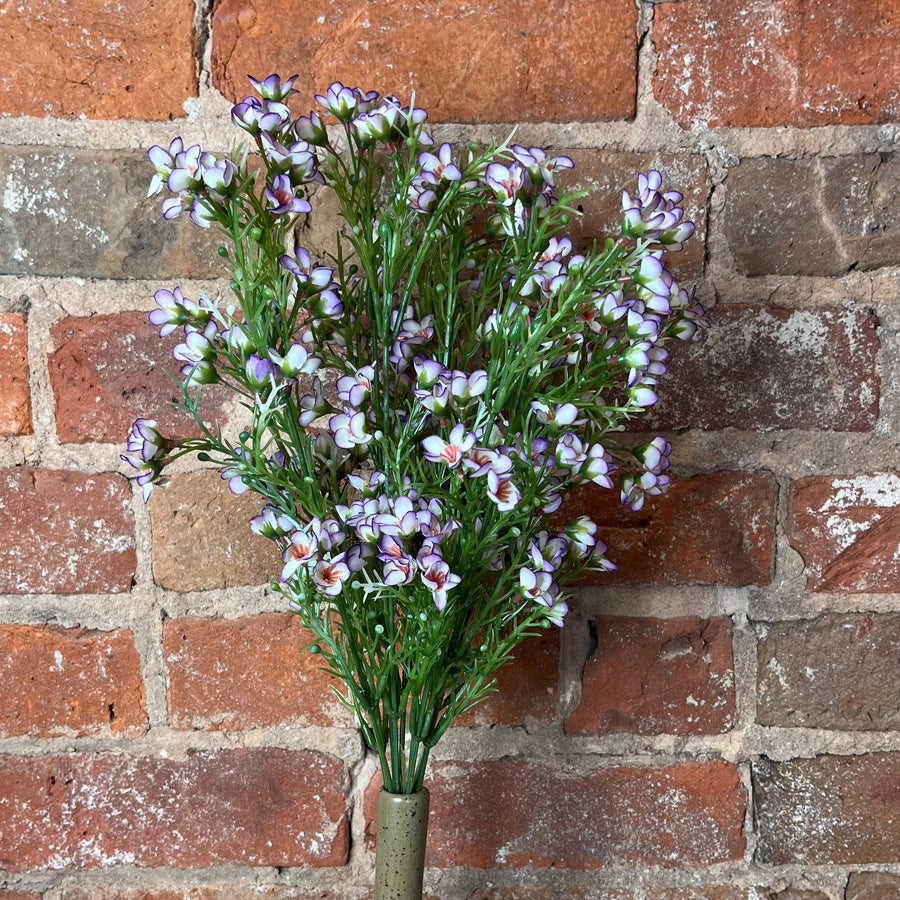 Lavender Waxflower Bush 19"