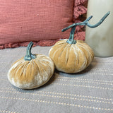 Yellow Velvet Stuffed Pumpkin