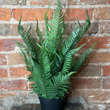 Potted Fern 22"