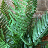 Potted Fern 22"