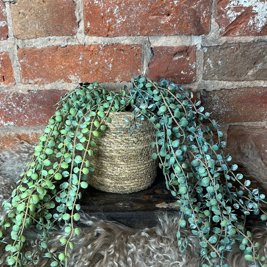 Mini Leaf Bush 27"