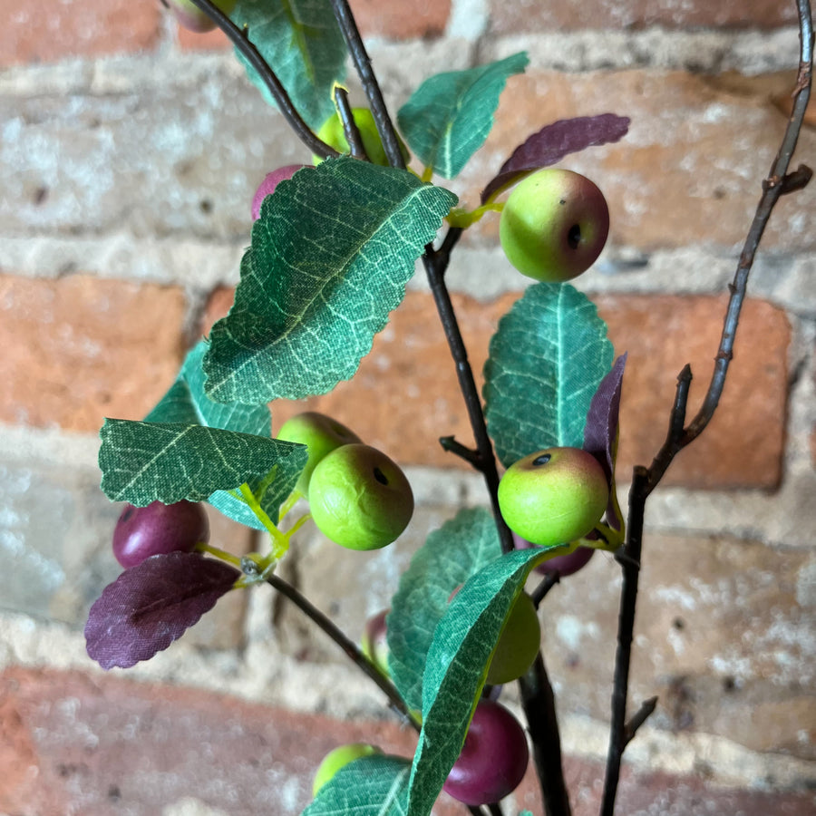 Long Spring Berry Spray