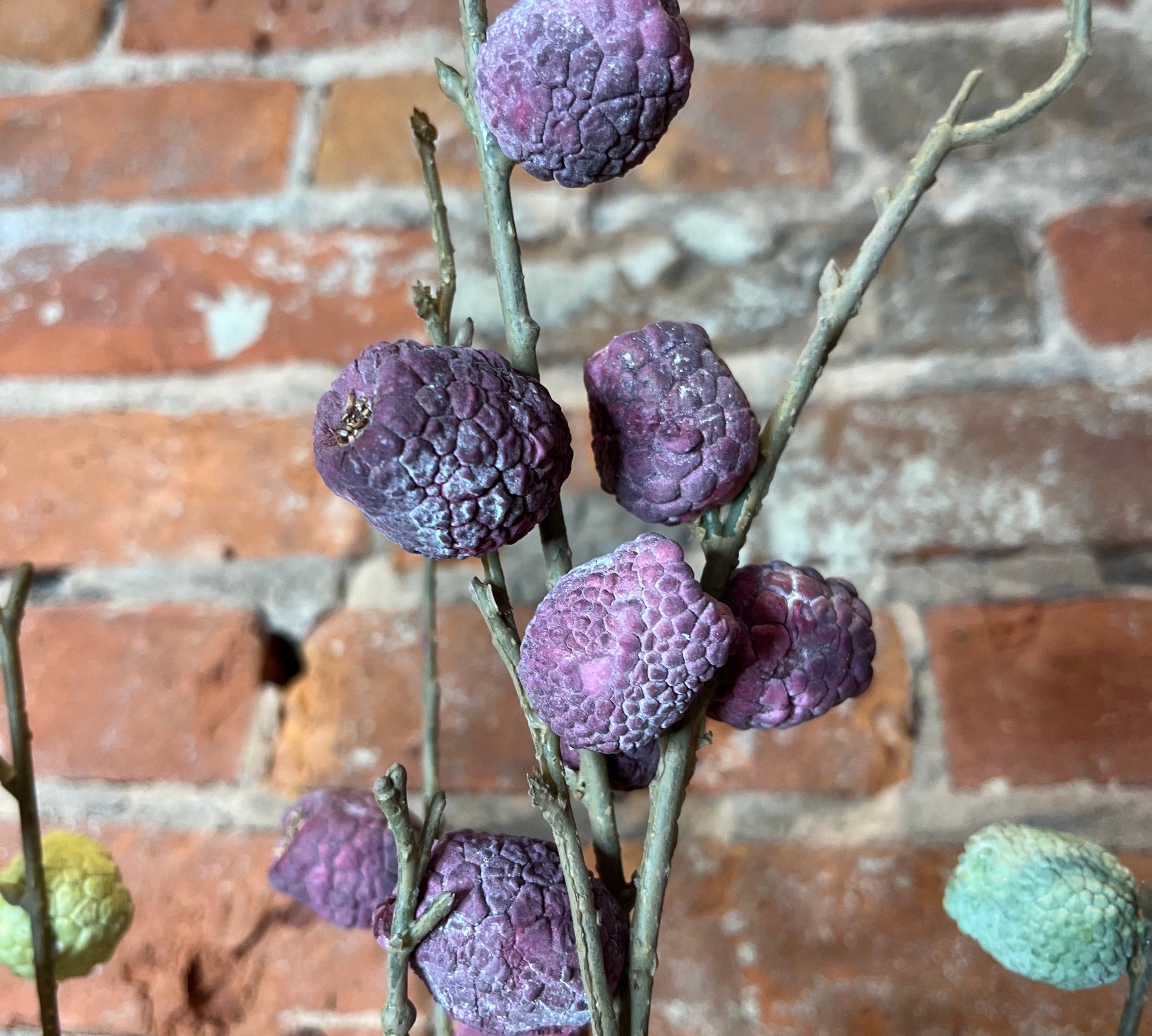 Long Berry Pod Spray 28"