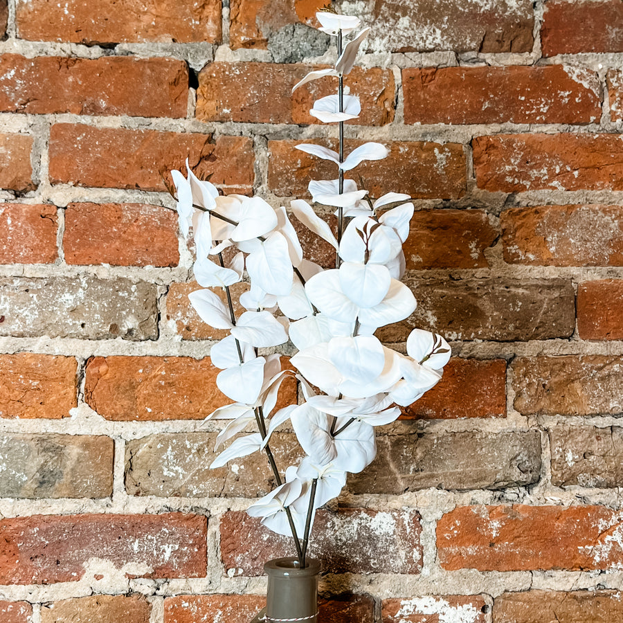 Blush Silver Dollar Eucalyptus Spray 25"