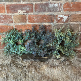 Eucalyptus Accent Ring 12"