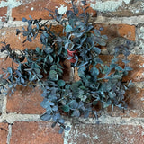 Eucalyptus Accent Ring 12"