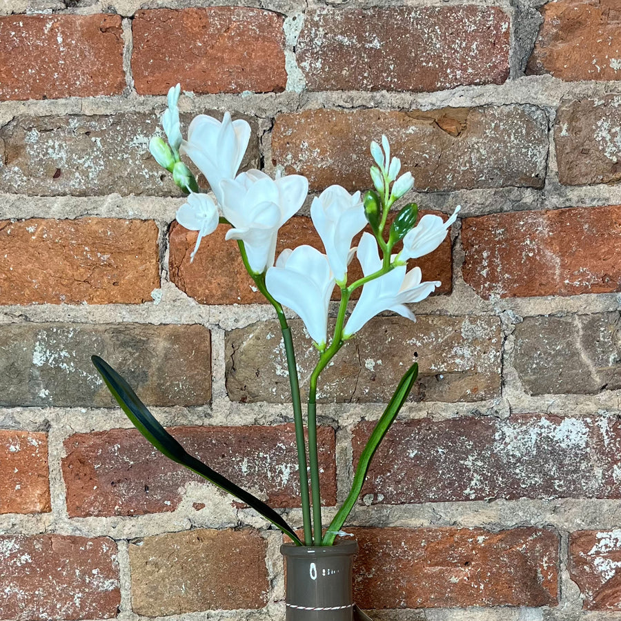 Real Touch Freesia Stem 21"