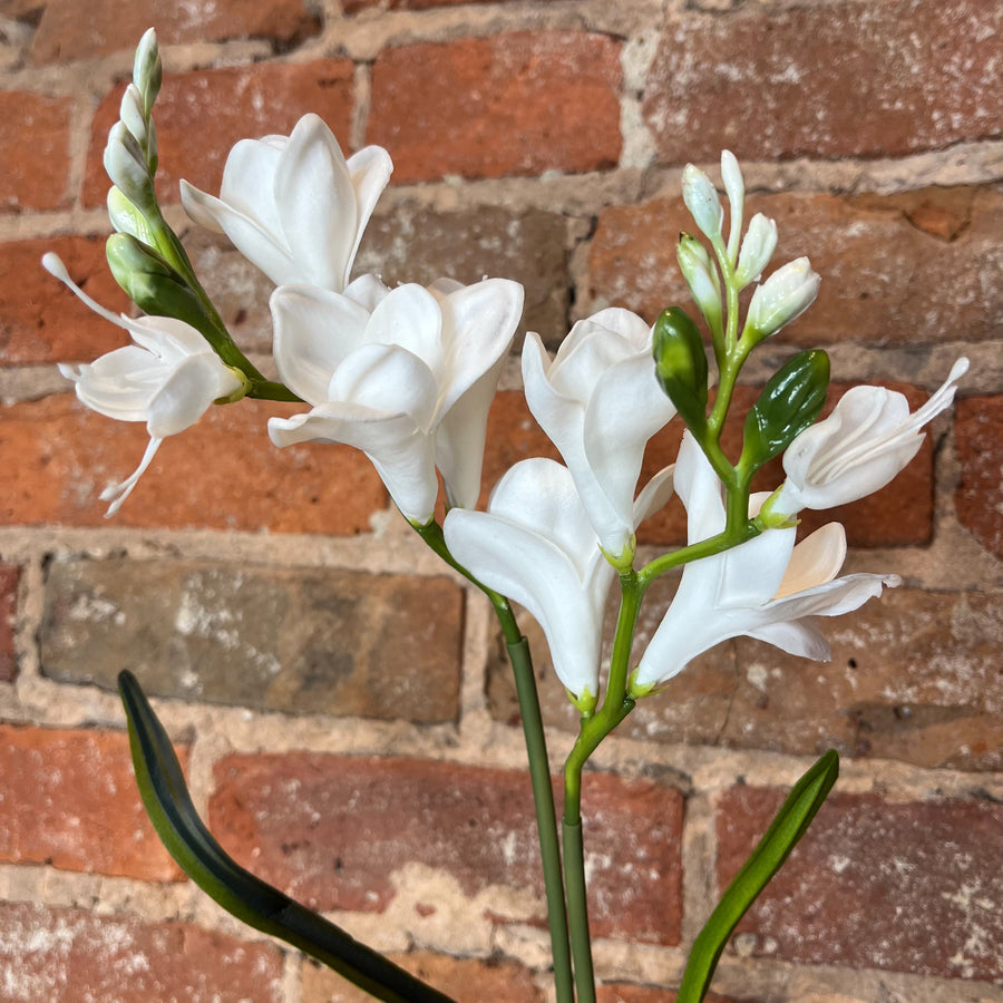 Real Touch Freesia Stem 21"