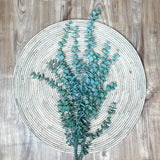 Sage Weeping Eucalyptus Spray 48”