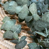 Sage Weeping Eucalyptus Spray 48”