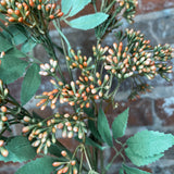Rust Seed Berry Spray 32”