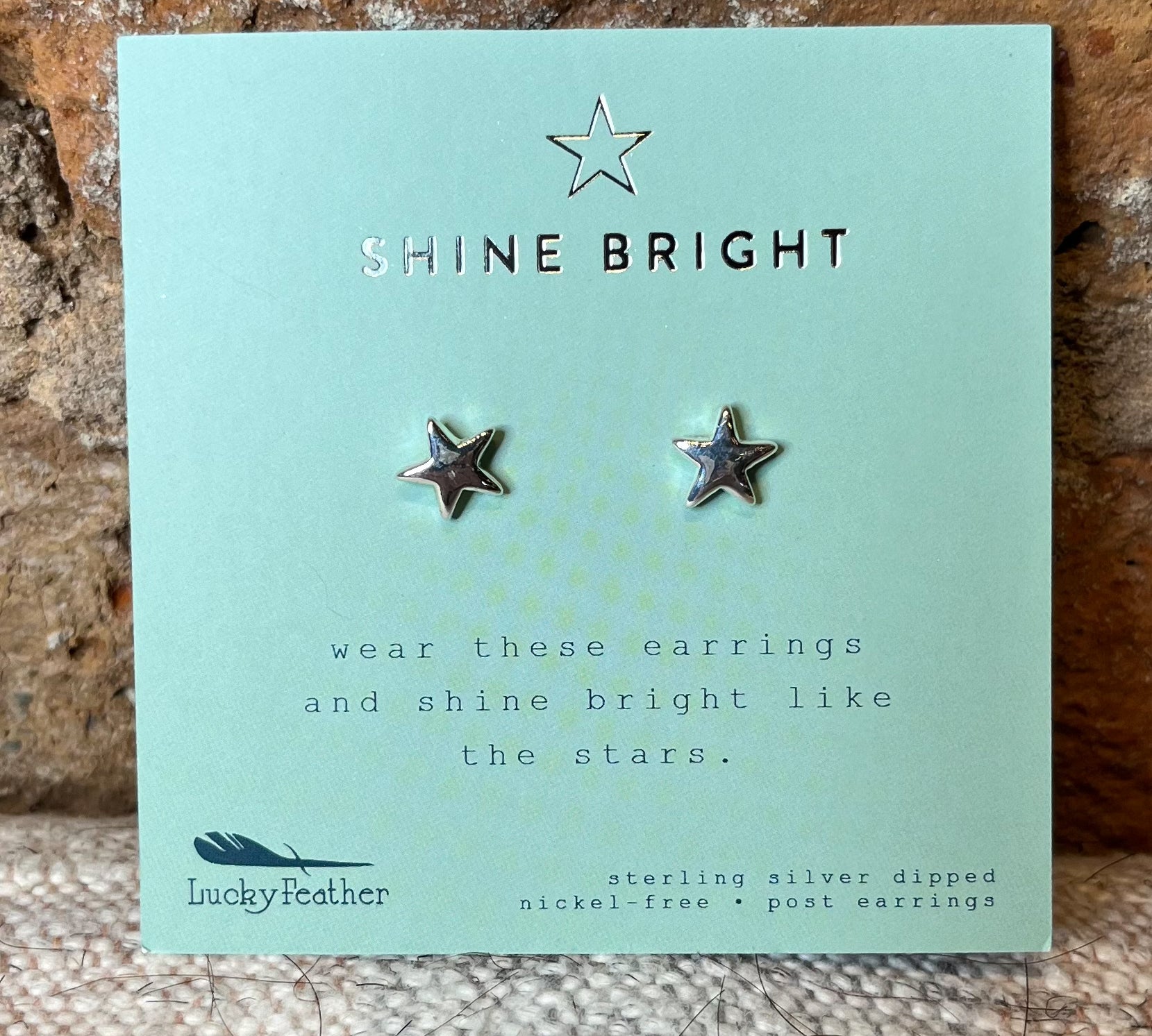 New Moon Silver Earrings