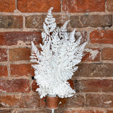 Cream Lace Fern Bush 18.5”