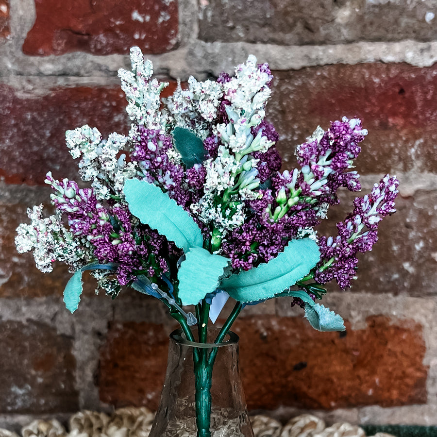 Mini Pastel Flowering Lavender Bush 8”