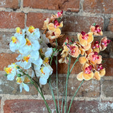 Real Touch Mini Phalaenopsis Orchid