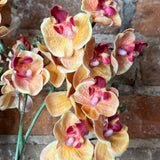 Real Touch Mini Phalaenopsis Orchid