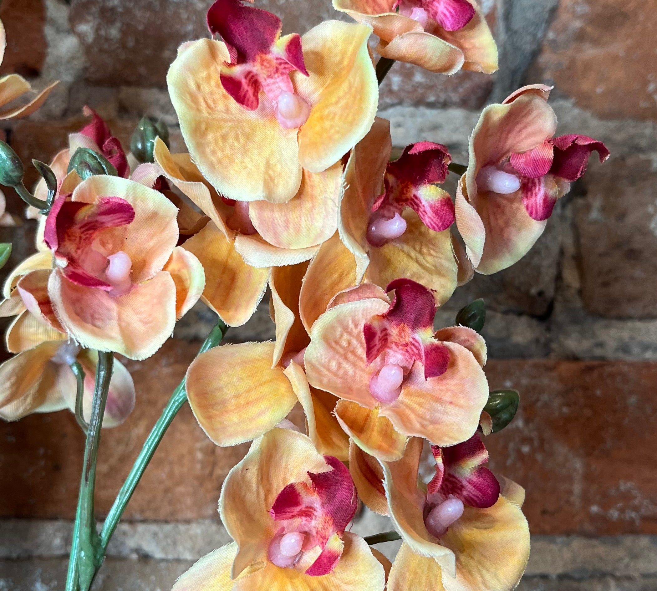 Real Touch Mini Phalaenopsis Orchid