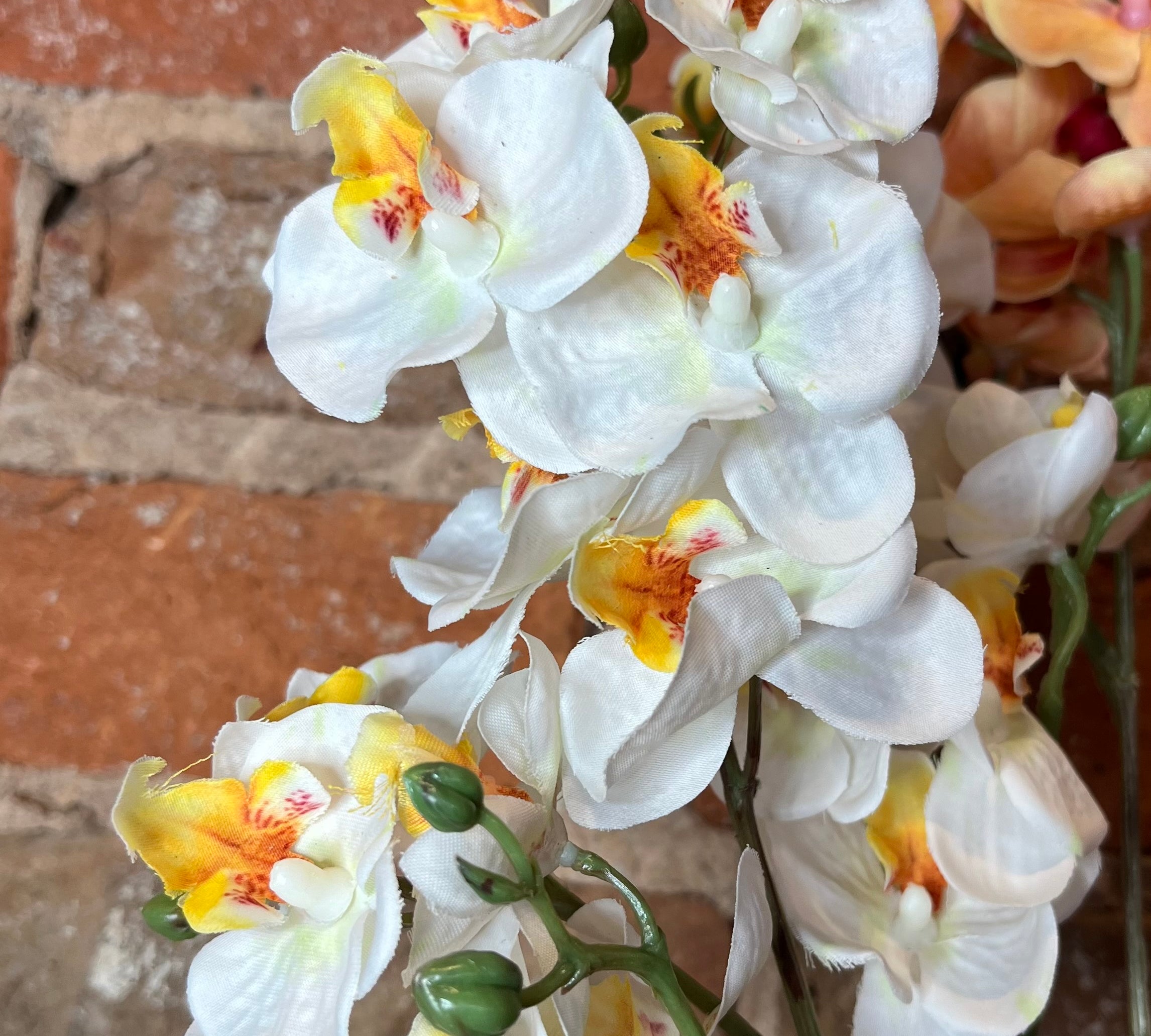 Real Touch Mini Phalaenopsis Orchid