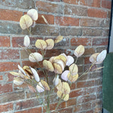 Brown/Beige Eucalyptus Spray 40”