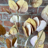 Brown/Beige Eucalyptus Spray 40”