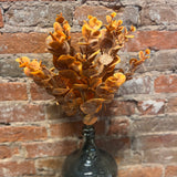 Fall Eucalyptus Bush 20"