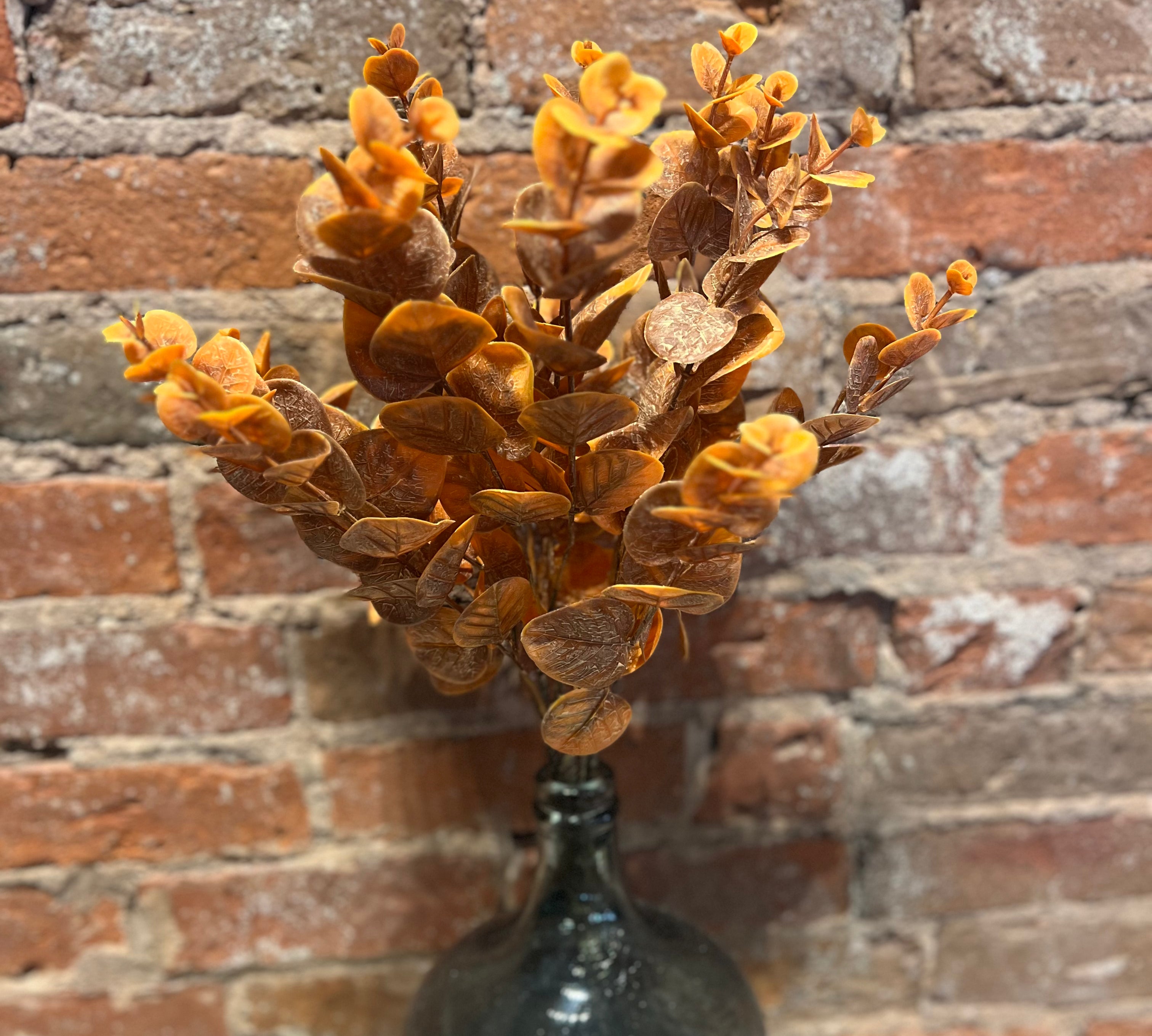 Fall Eucalyptus Bush 20"