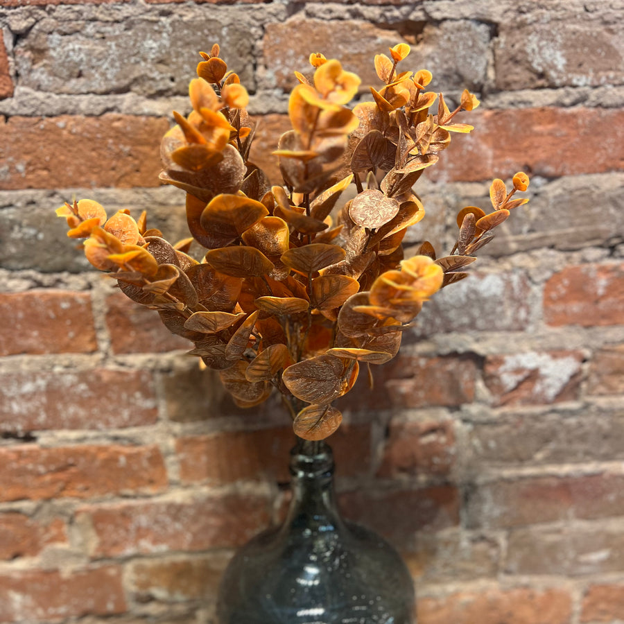 Fall Eucalyptus Bush 20"