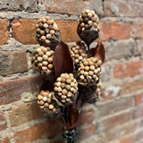 Autumn Pod Berry Spray 18"