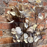 Birch Leaf Spray 35"