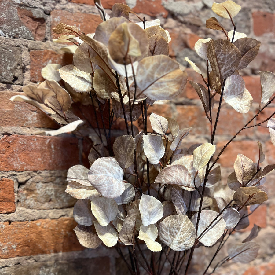Birch Leaf Spray 35"