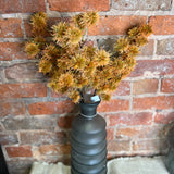 Orange Spiny Pod Spray 27”