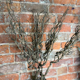 Wild Brown Twig Spray 34”