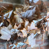 Beige Maple Leaf Spray 34”