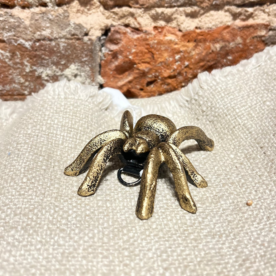 Small Painted Spider 3"