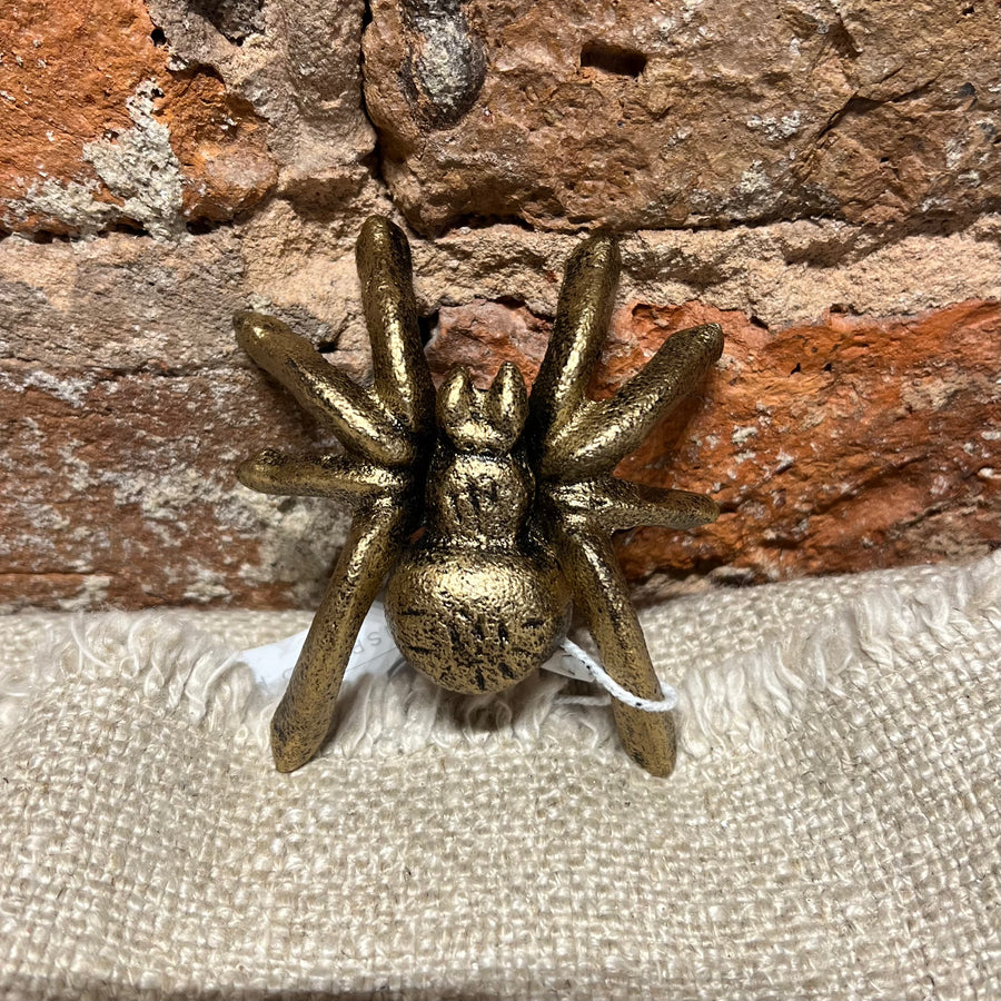 Small Painted Spider 3"