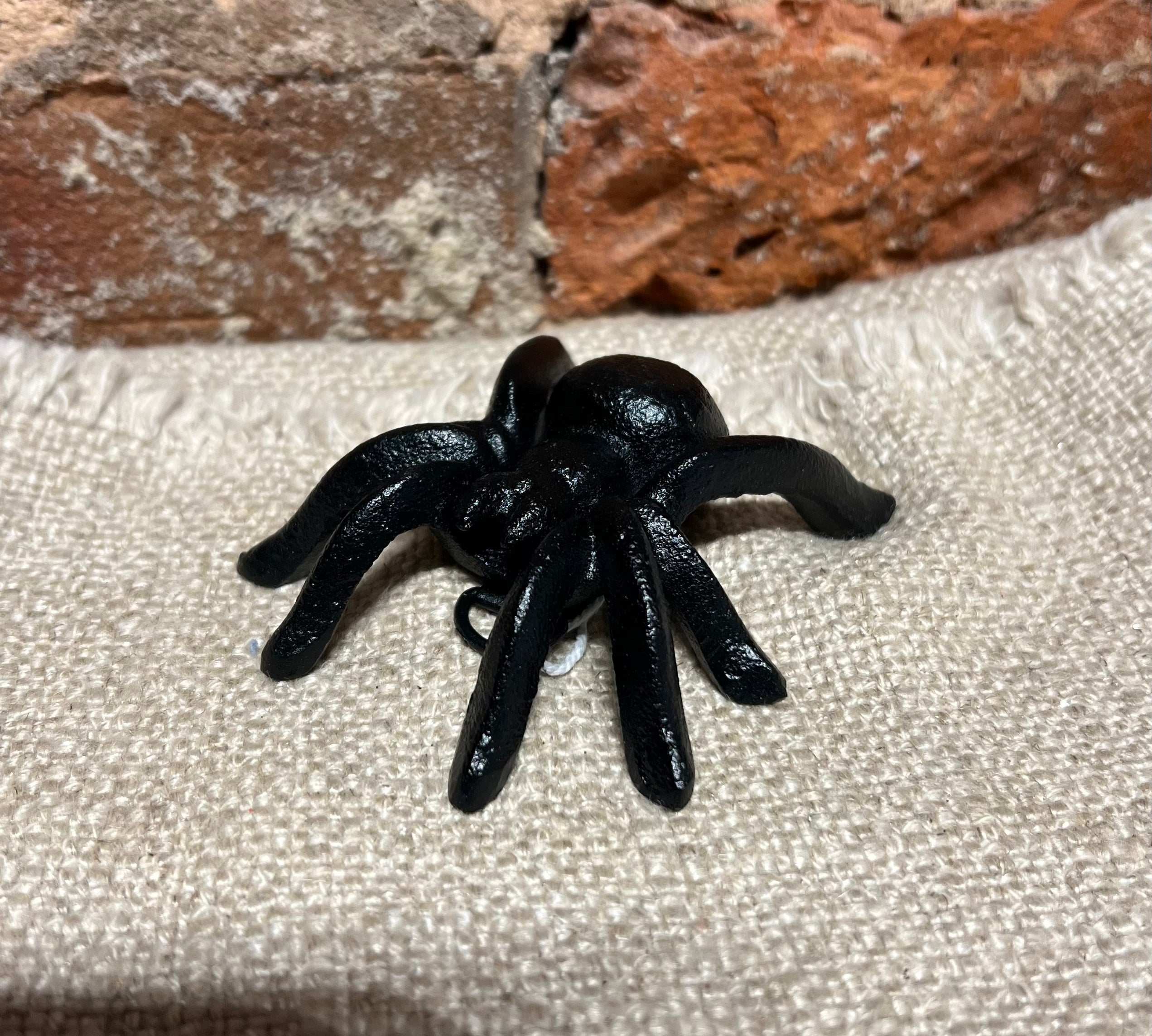 Small Painted Spider 3"