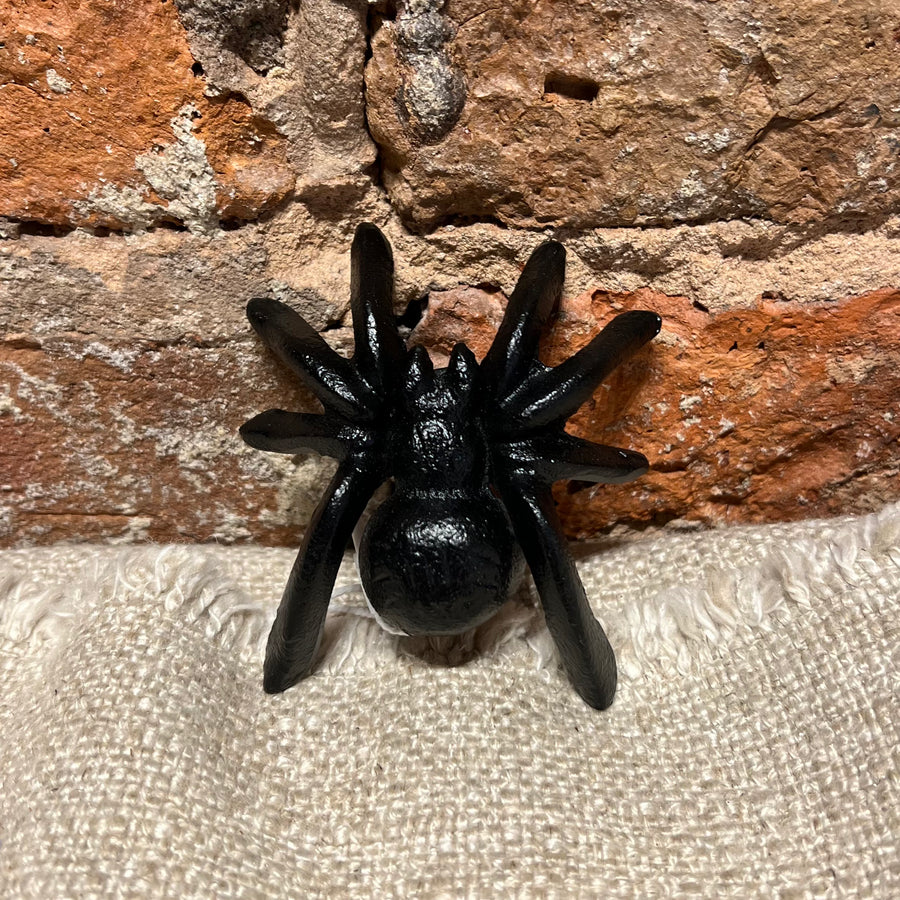 Small Painted Spider 3"