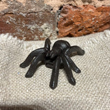 Small Painted Spider 3"