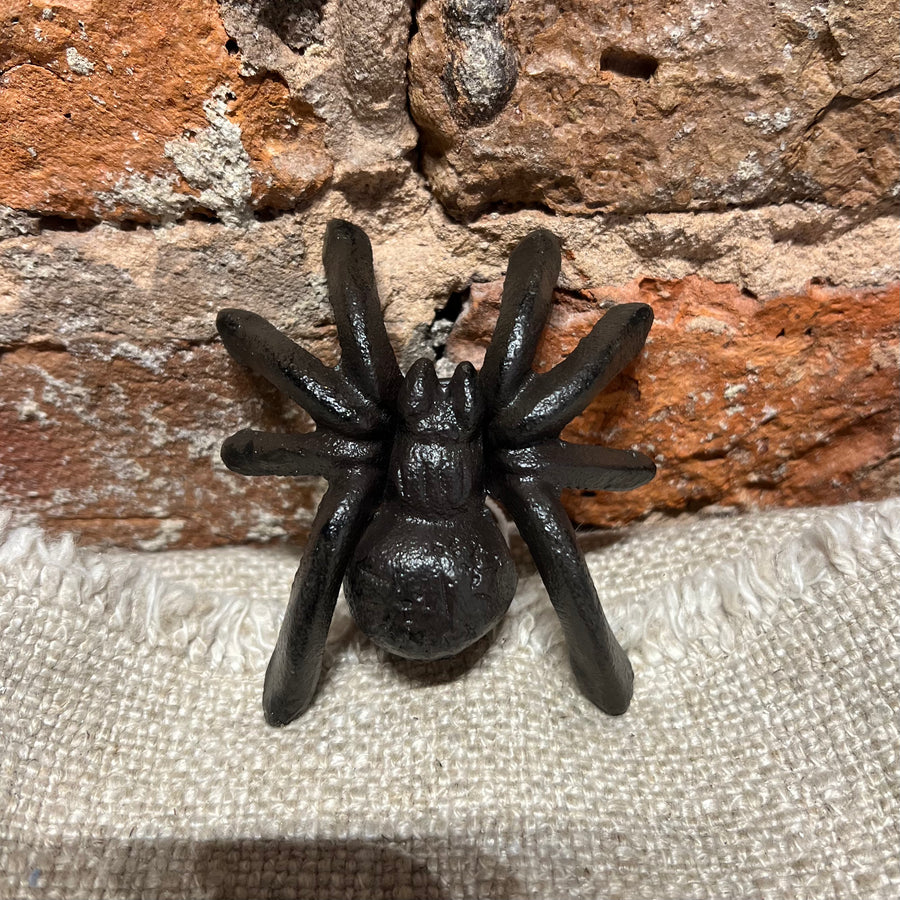 Small Painted Spider 3"